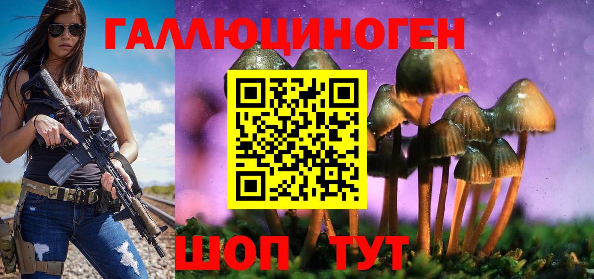 Псилоцибиновые грибы MAGIC MUSHROOMS  Вход с VPN  хочу   Моздок 