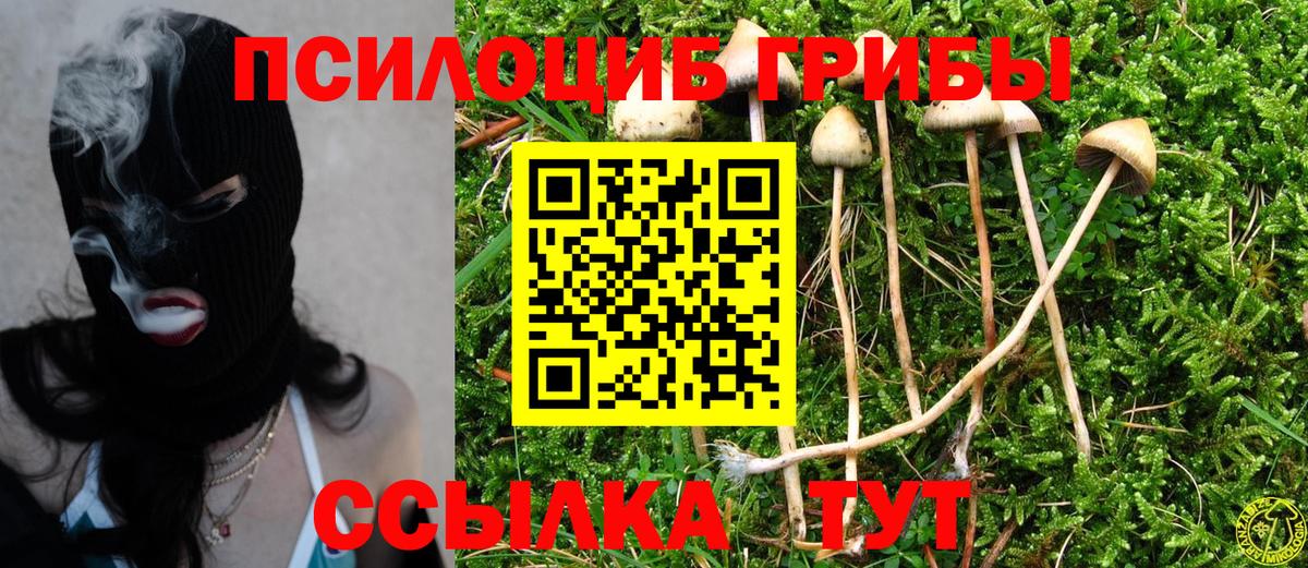 Псилоцибиновые грибы мухоморы Моздок
