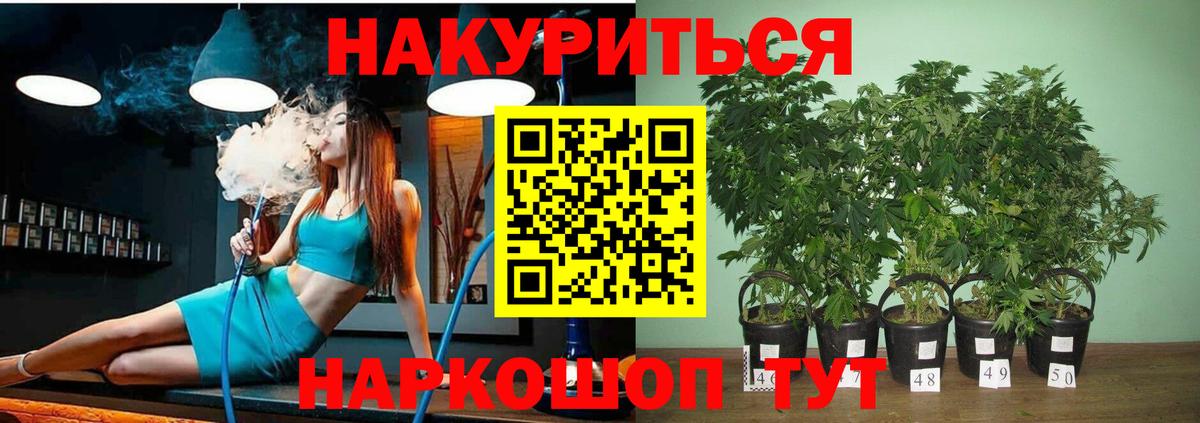 Каннабис Ganja  Канабис марихуана  Вход с VPN  Марихуана VHQ  Моздок 